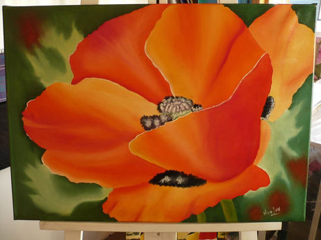 Amapola