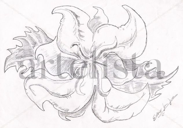 Orquidea