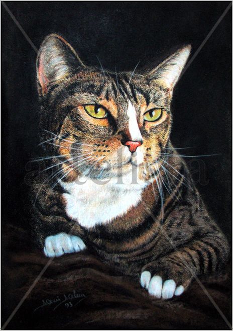 Gato