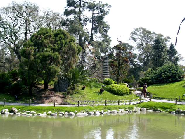 jardín Japones Naturaleza Color (Digital)