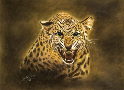 Ataque Felino