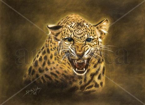 Ataque Felino