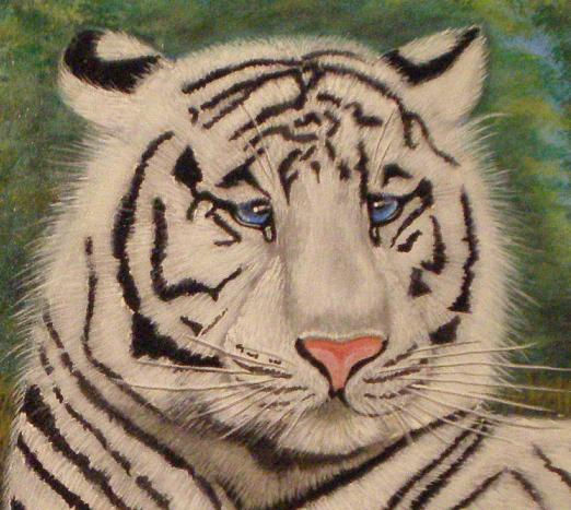 Tigre Albino Acrylic Canvas Animals