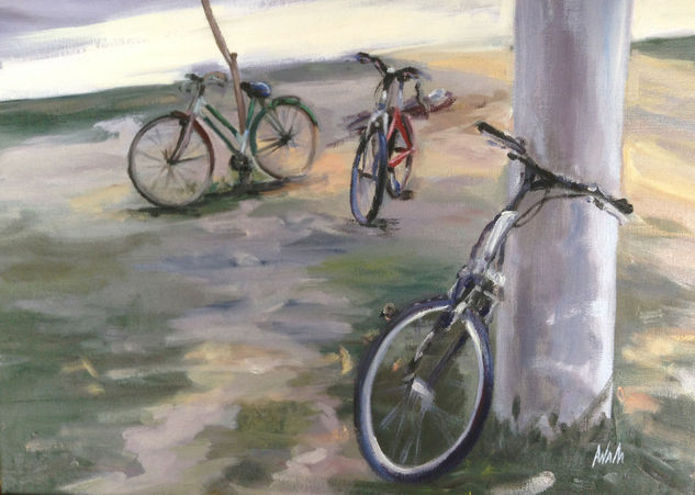 Bicis Oil Canvas Sports