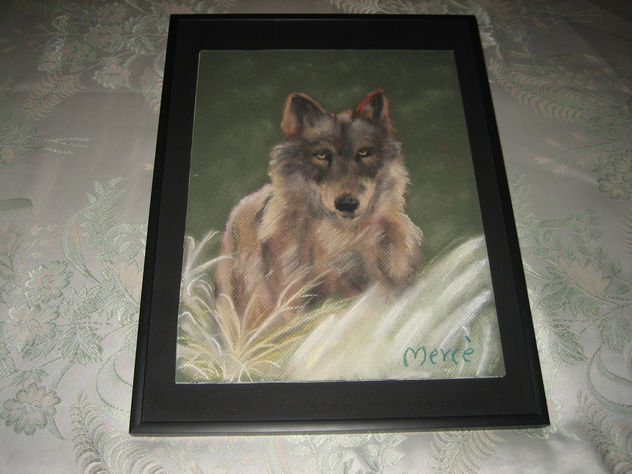 LOBO