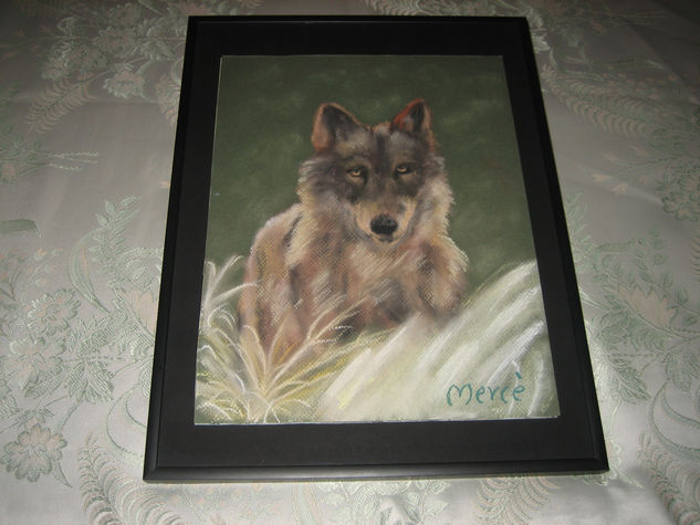 LOBO Pastel Cartulina Animales