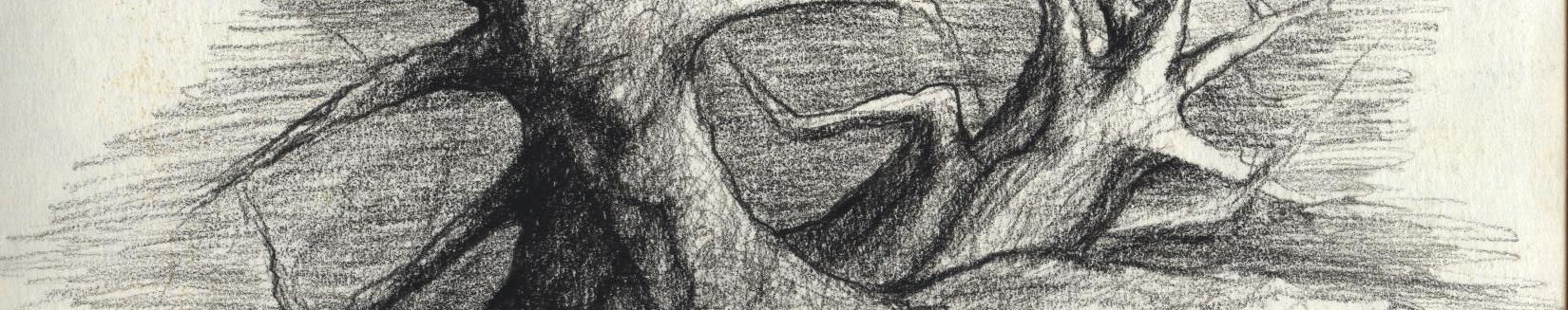 Imagen de portada