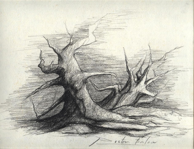 árbol0