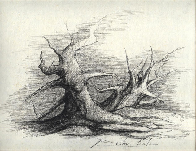 árbol0 Charcoal