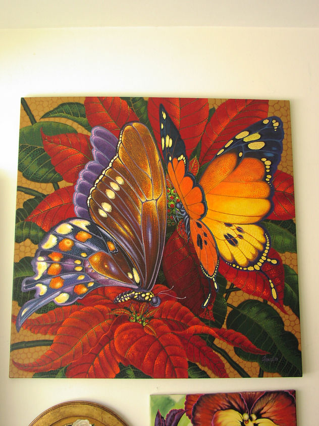 MARIPOSAS