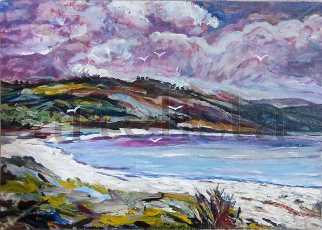 Gaviotas en la playa (Asturias) Acrylic Panel Landscaping