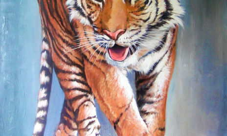 Animales