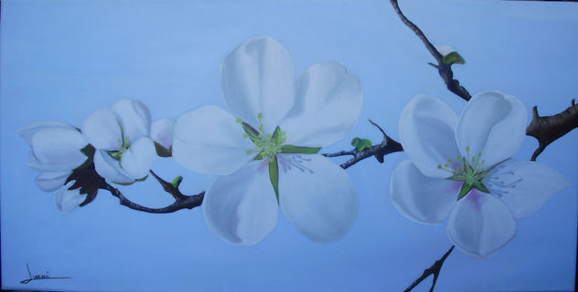 FLOR DEL ALMENDRO