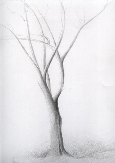 árbol1 Pencil