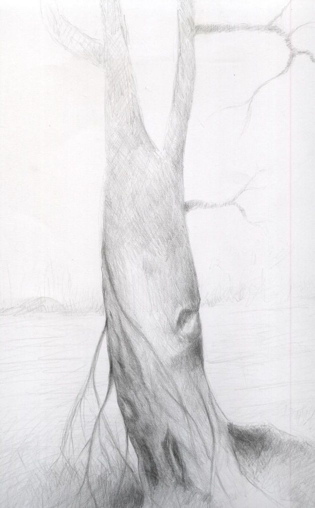 árbol2