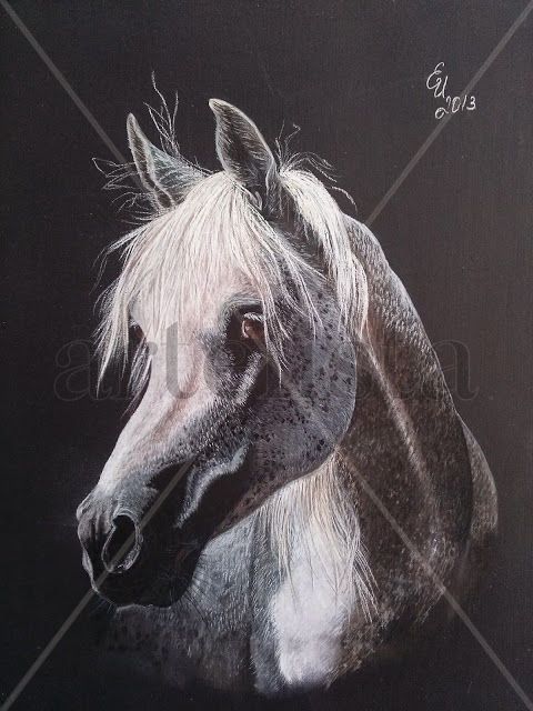 CABALLO ARABE