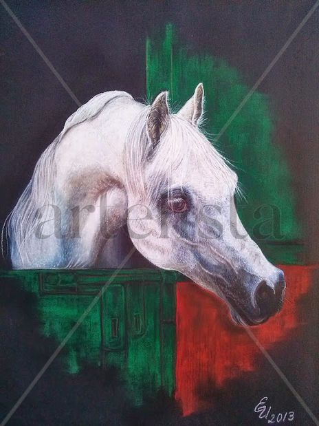 Caballo Arabe