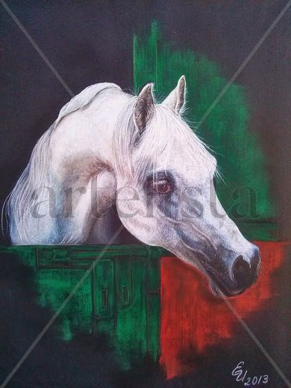 Caballo Arabe Pastel Papel Animales