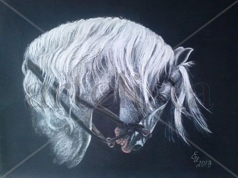 Caballo árabe
