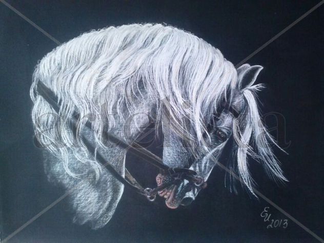 caballo árabe