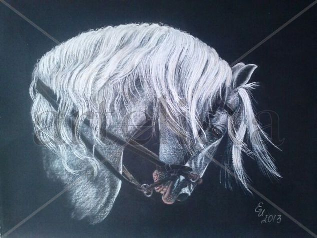 caballo árabe Pastel Papel Animales