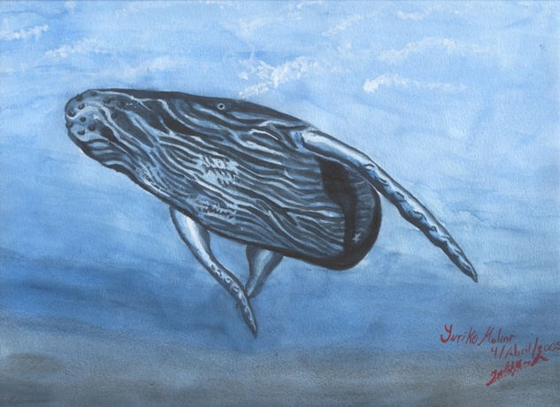 ballena Watercolour Card Marine Painting