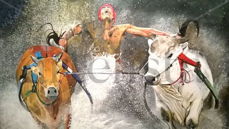Carrera de toros