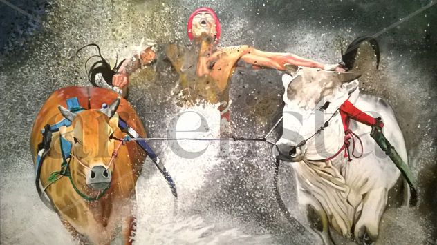 carrera de toros