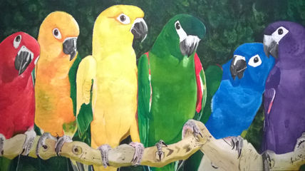 Loros coloridos