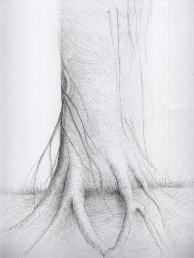 árbol4