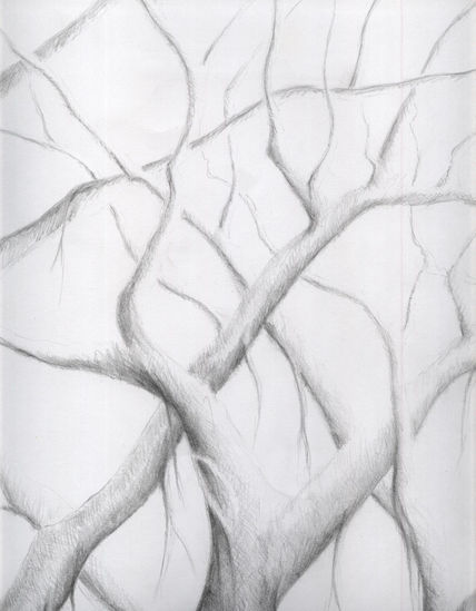 Árbol5