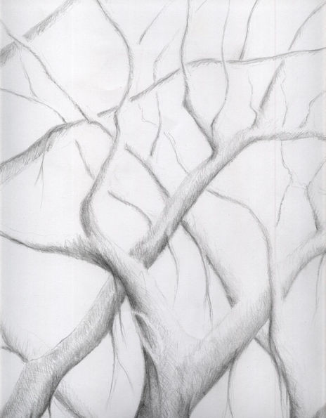 Árbol5
