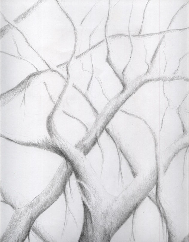 árbol5