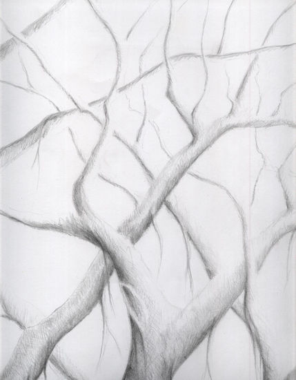 árbol5 Pencil