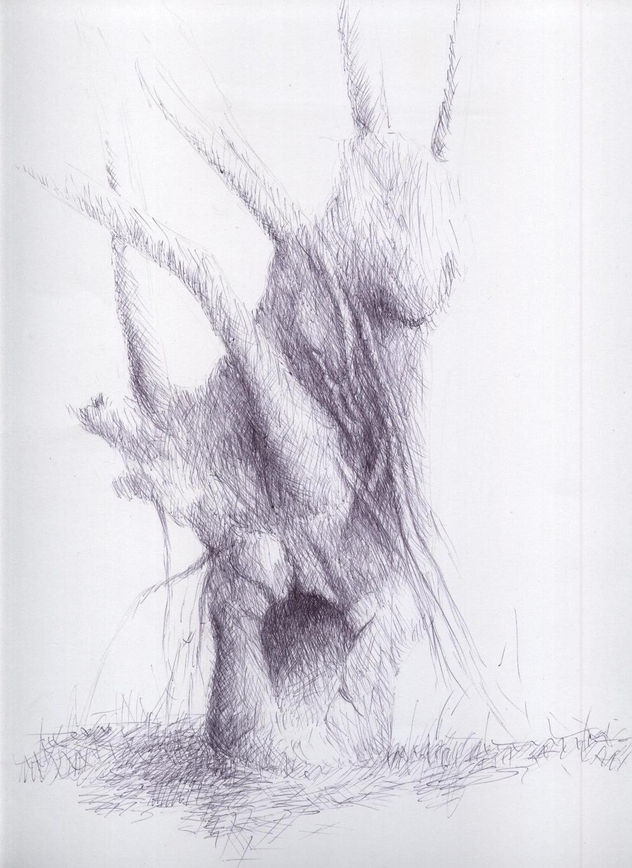 árbol6
