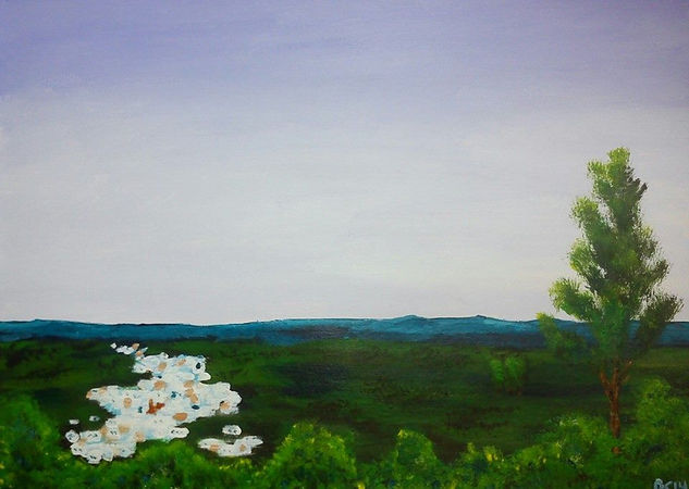 Vista de San José del valle Acrylic Paper Landscaping