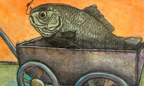 PECES