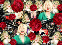 Marilyn roses