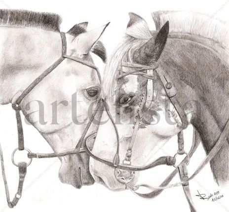 Horses in love