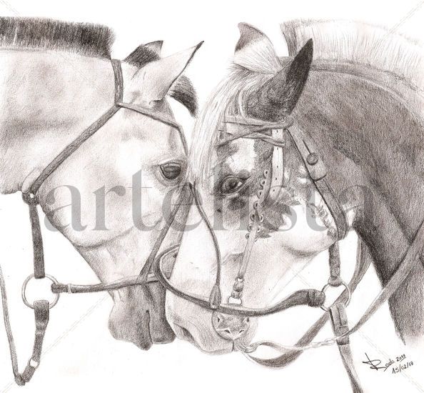 Horses in love Pencil