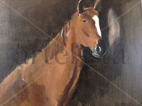 Horse