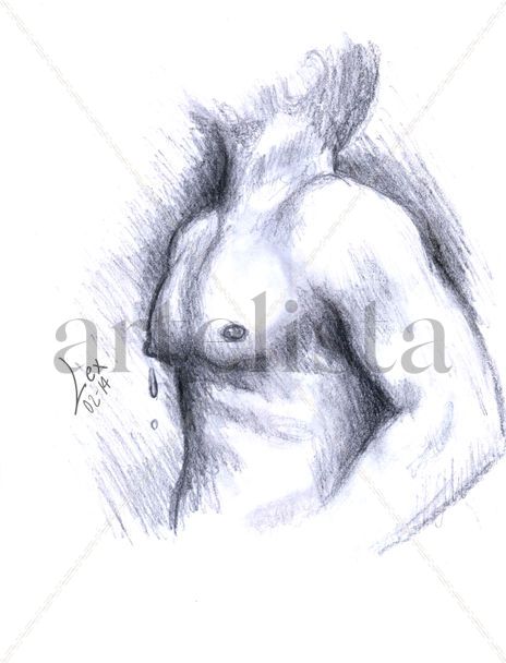 Pectorales