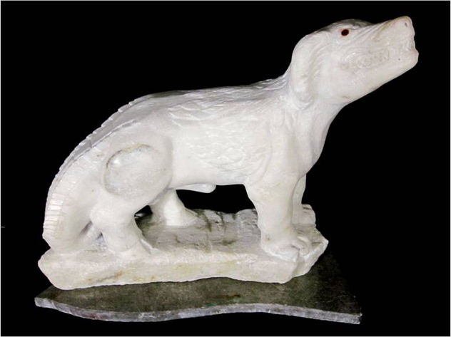 CADEJO BLANCO