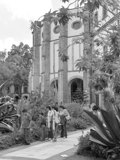 Jardin Botanico Arquitectura e interiorismo Blanco y Negro (Digital)