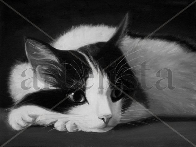 Gata dormitando Oil Canvas Animals