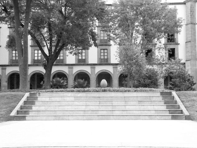 Jardin Palacio Nacional Arquitectura e interiorismo Blanco y Negro (Digital)