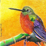 Animales thumbnail 1