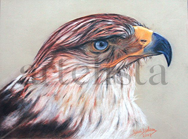 Águila Imperial