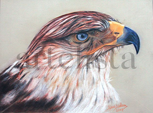 Águila Imperial Pastel Cartulina Animales