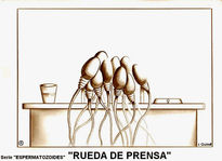 "rueda de prensa"